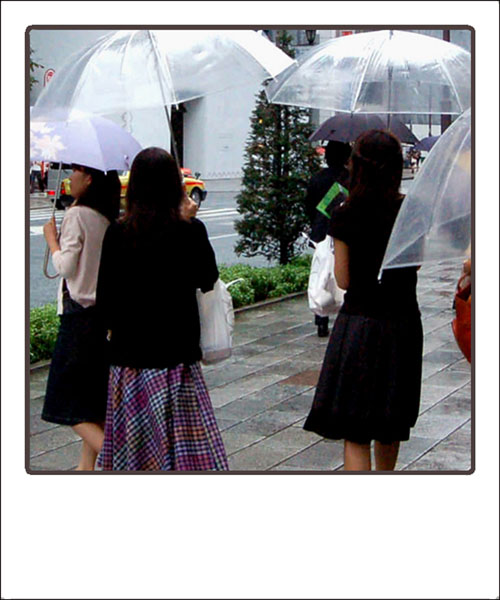 polaroid parapluies